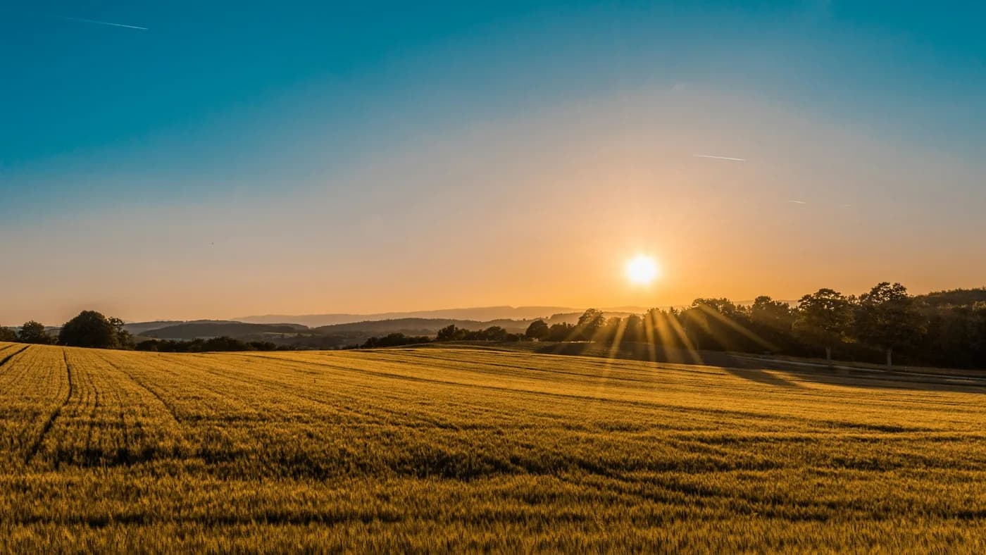 Exploitation agricole GAEC accompagnée par Noventis Conseil pour optimiser ses contrats d'énergie
